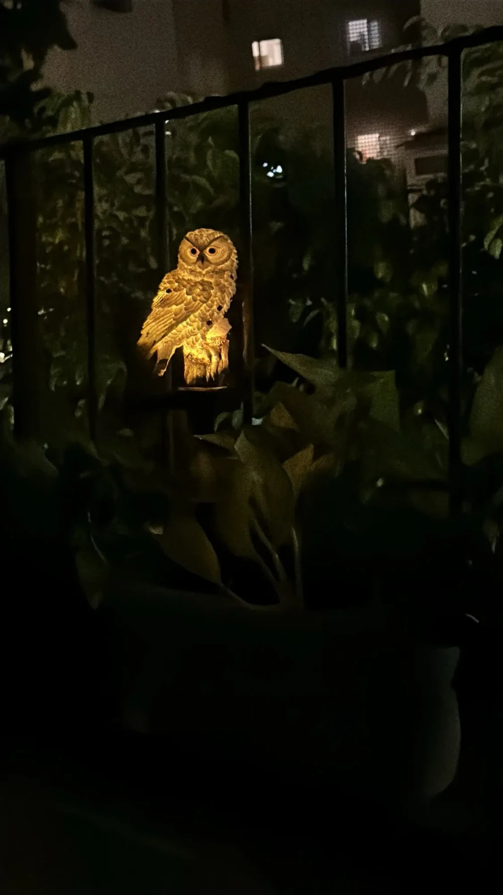 Review Card