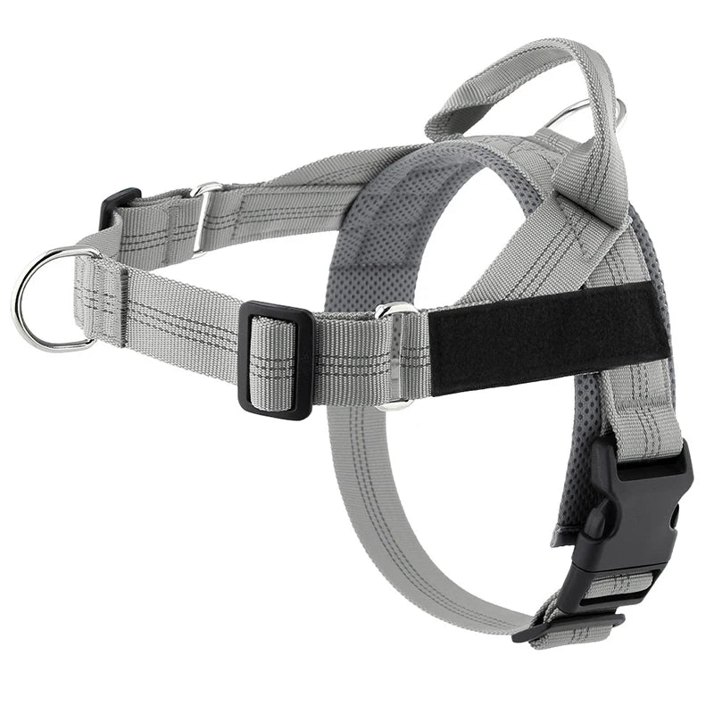 Personalized Reflective No Pull Harness for Small Medium Dogs