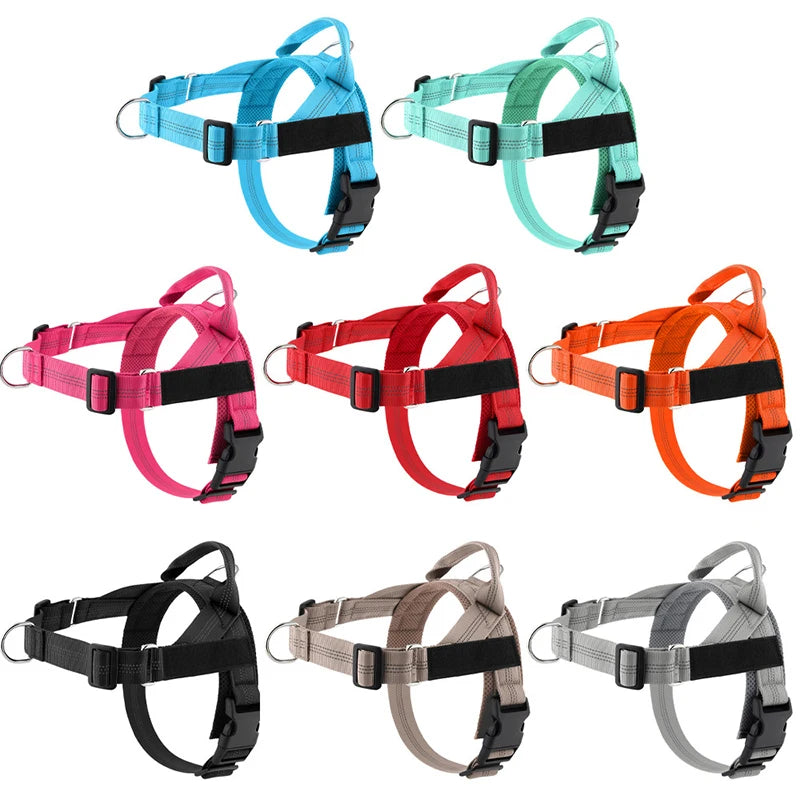 Personalized Reflective No Pull Harness for Small Medium Dogs