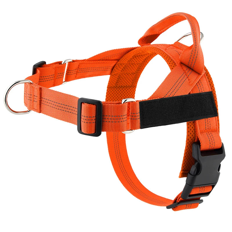 Personalized Reflective No Pull Harness for Small Medium Dogs