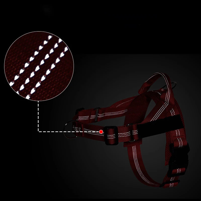 Personalized Reflective No Pull Harness for Small Medium Dogs