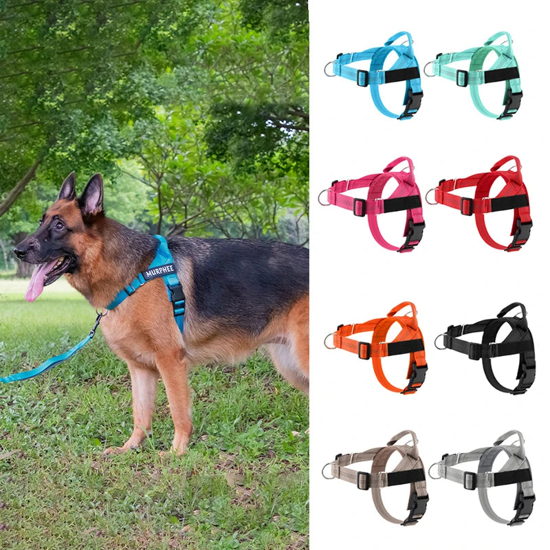 Personalized Reflective No Pull Harness for Small Medium Dogs