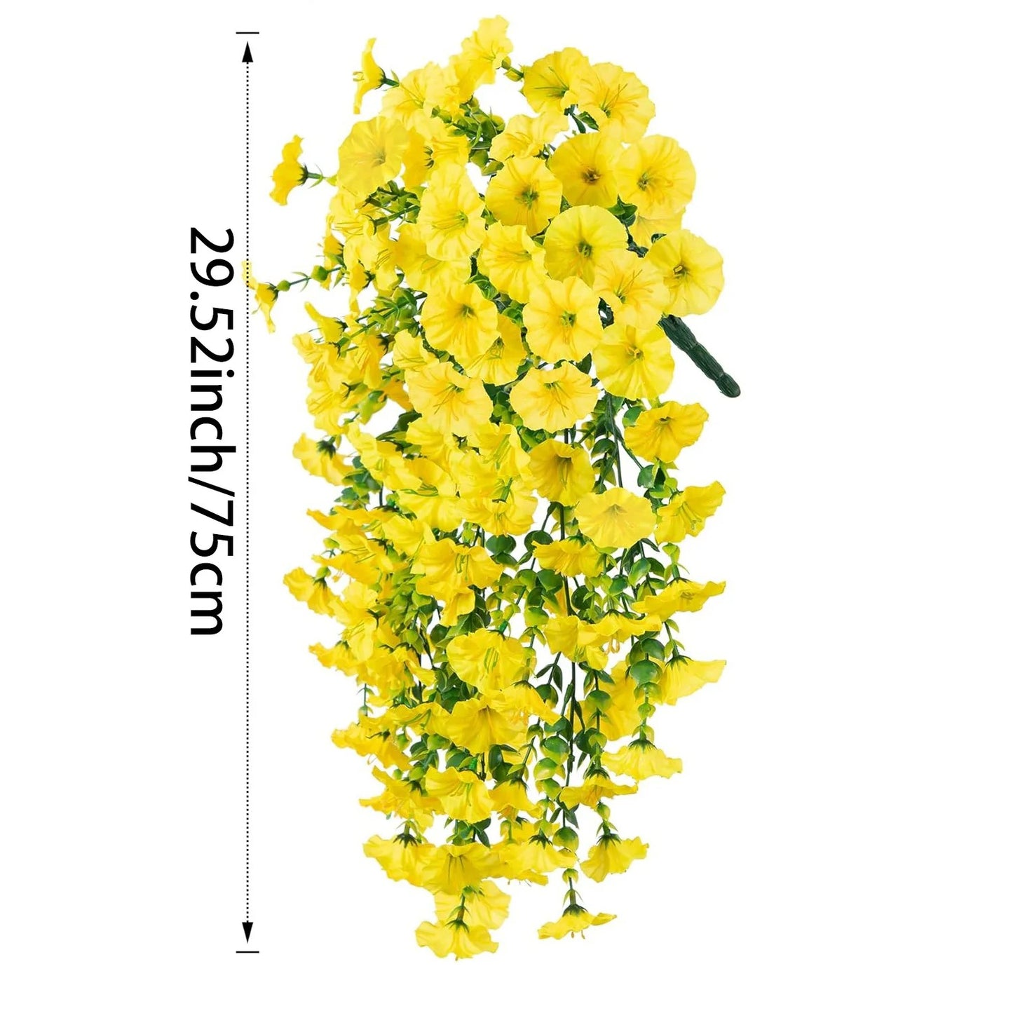 Complete Your Garden with Cascading Morning Glory Vines