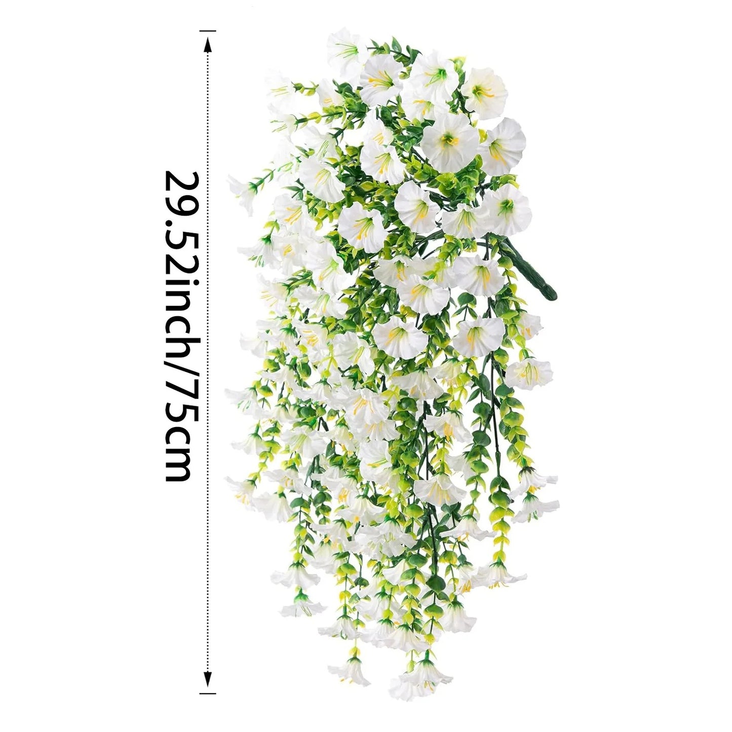 Complete Your Garden with Cascading Morning Glory Vines