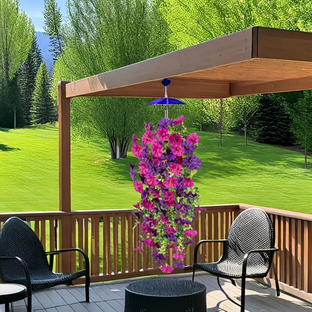 Complete Your Garden with Cascading Morning Glory Vines