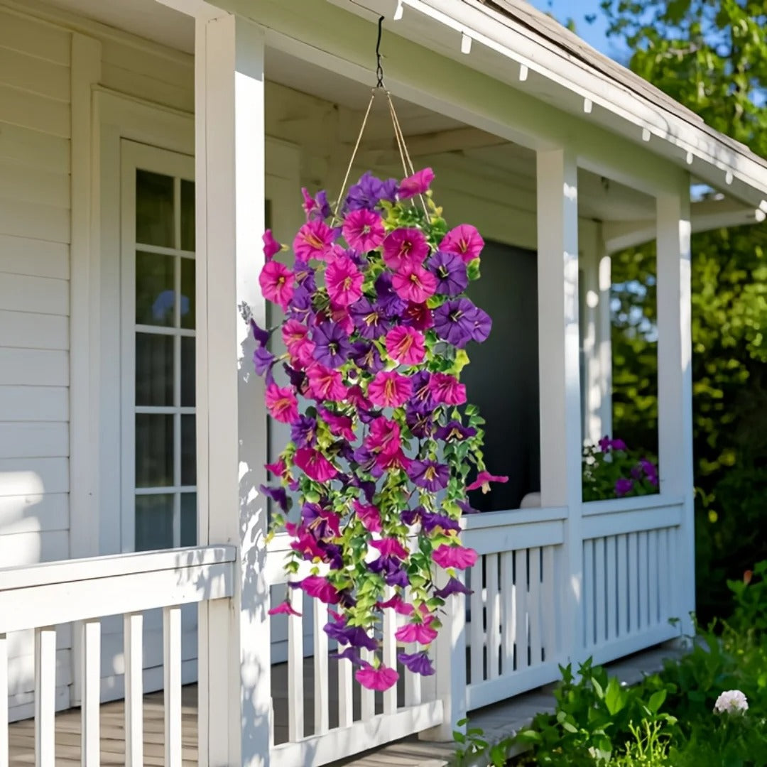 Complete Your Garden with Cascading Morning Glory Vines